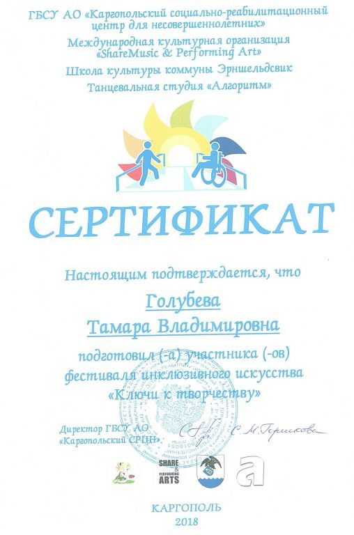 сертификат инклюзивного фестиваля 2018.jpg